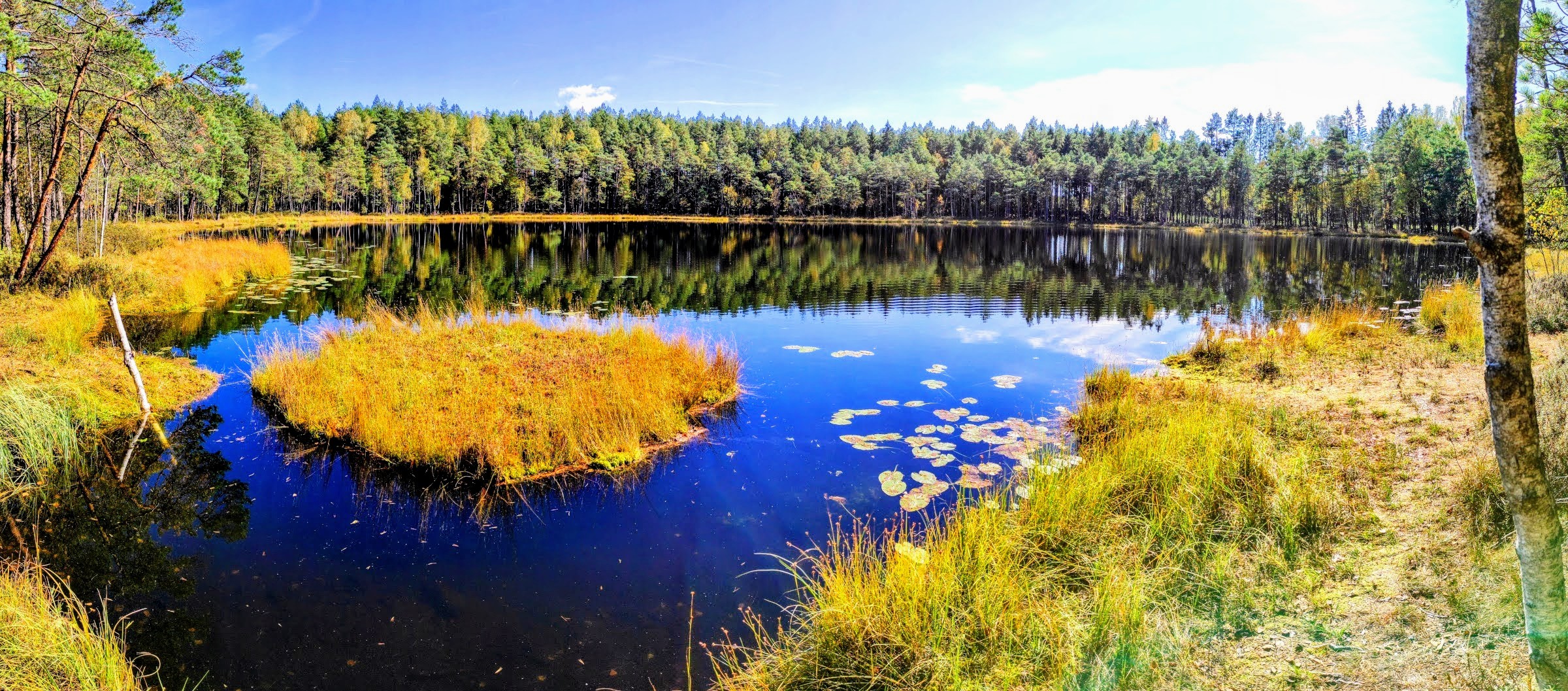 Torfowisko Połom